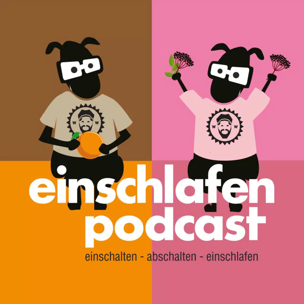 EP561 Bier, Katzen und Kant