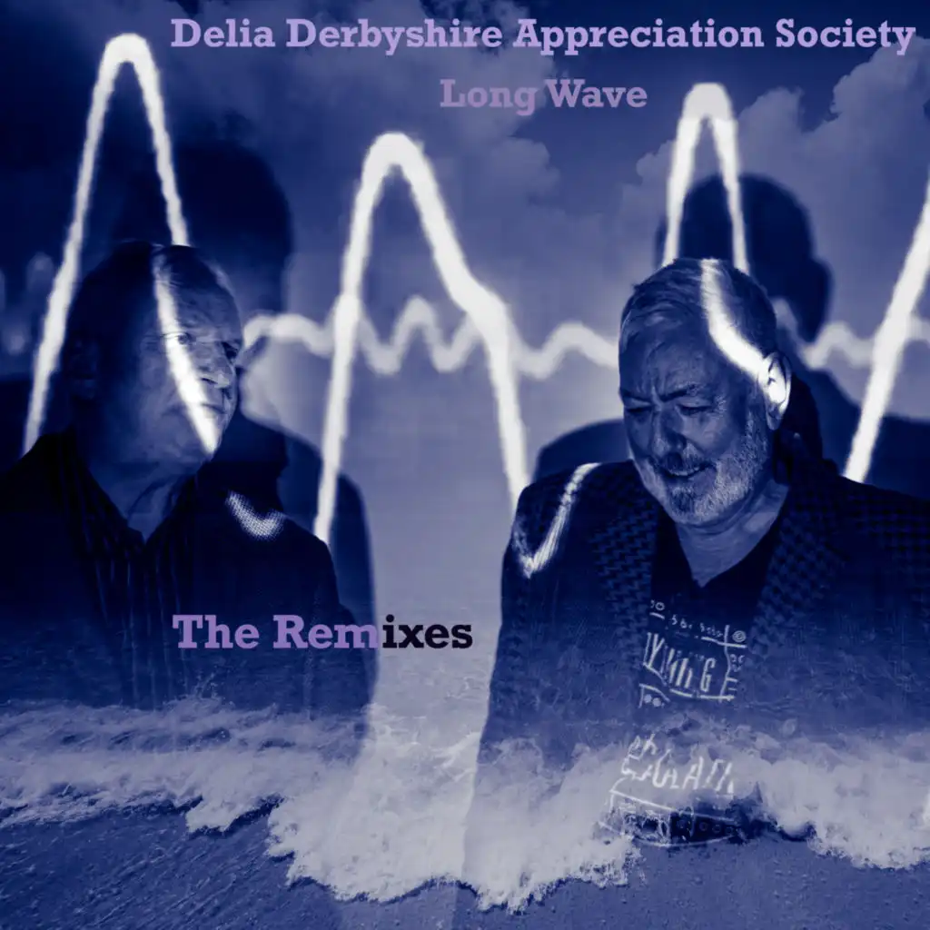 Delia Derbyshire Appreciation Society