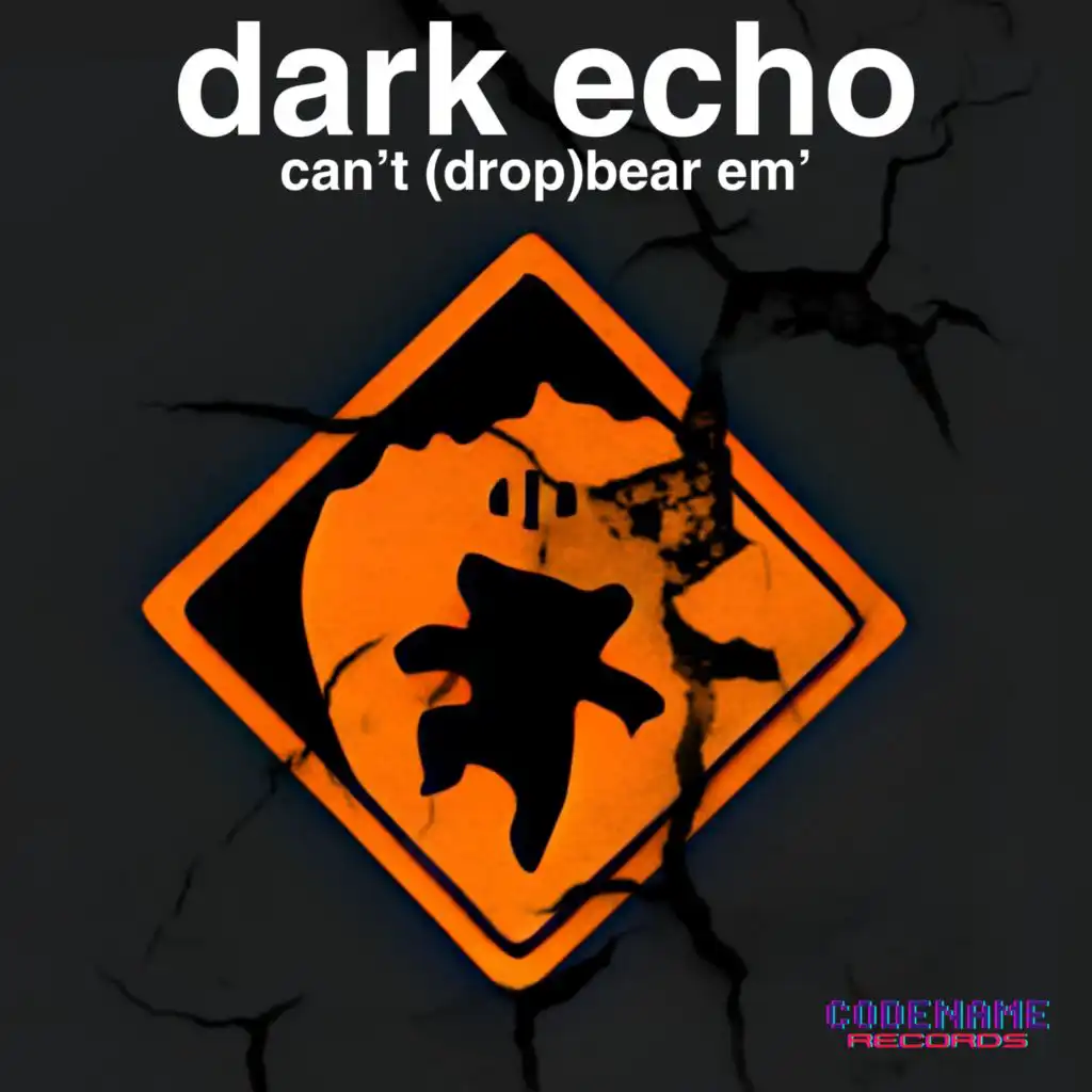 Dark Echo