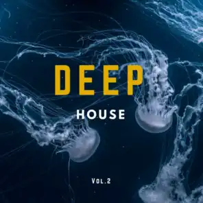 Deep House Music Compilation, Vol. 2