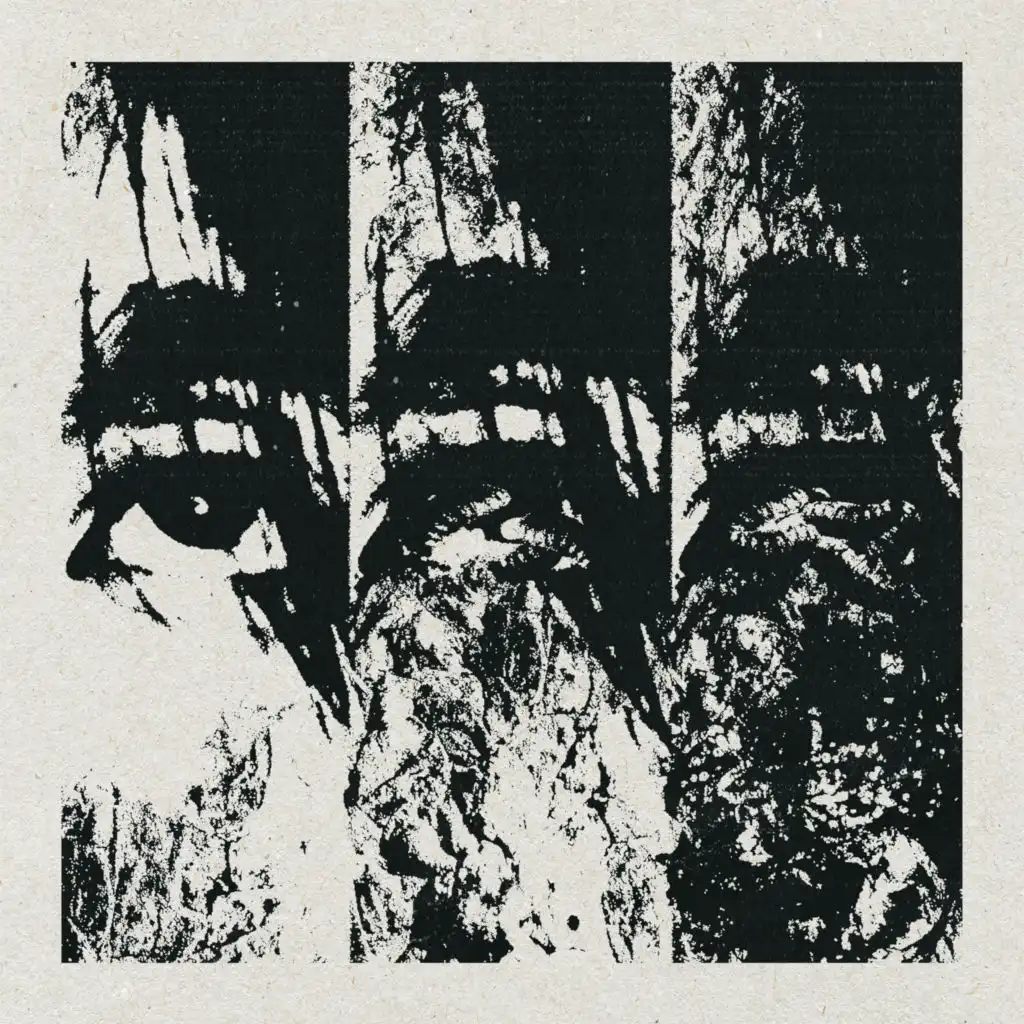 False Grind Sodomy (2008 Diseptic Split)