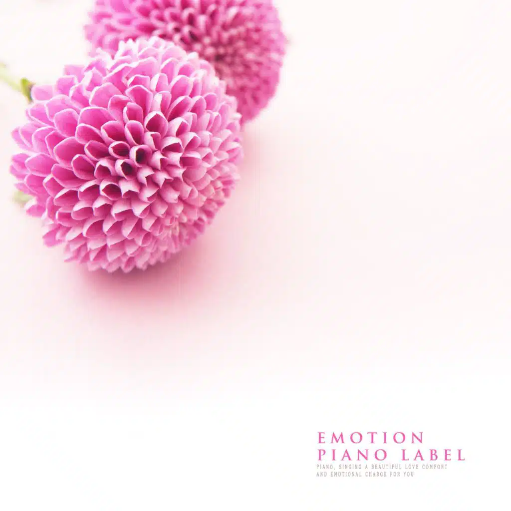 The Melodious Piano Feels Sweet Love