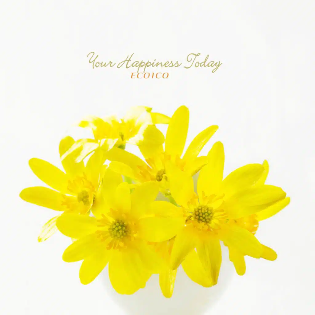Your Happiness Today