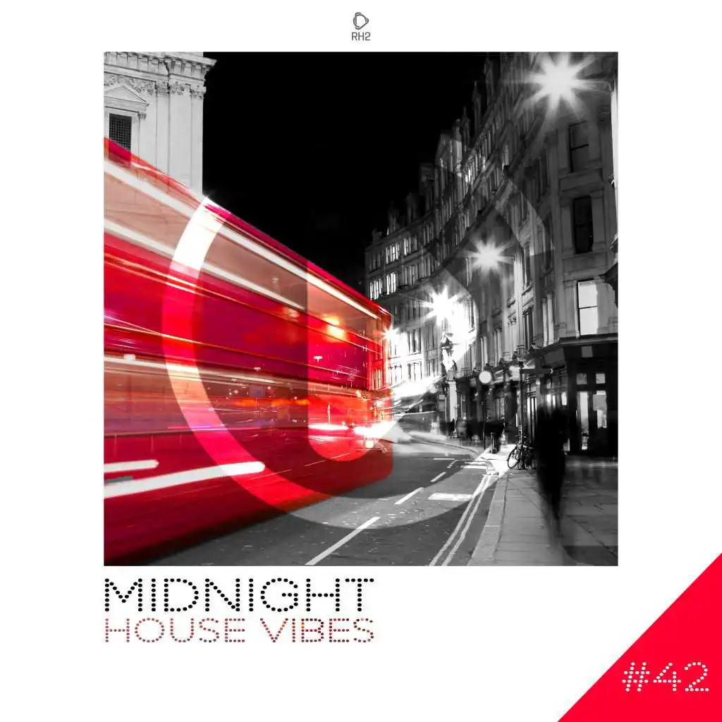 Midnight House Vibes -, Vol. 42