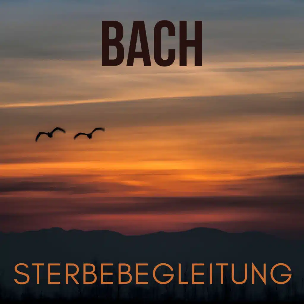 Flute Sonata in E-Flat Major, BWV 1031: II. Siciliano