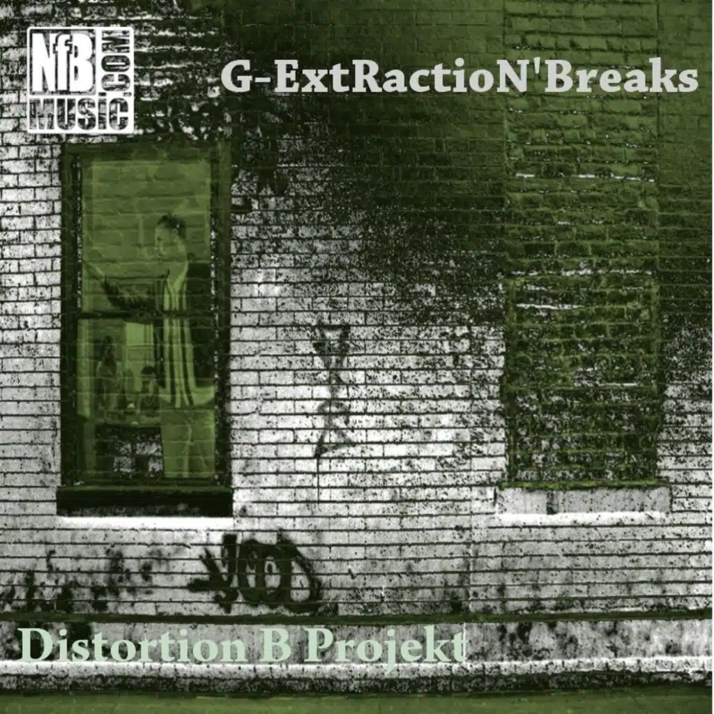 Distortion B Project