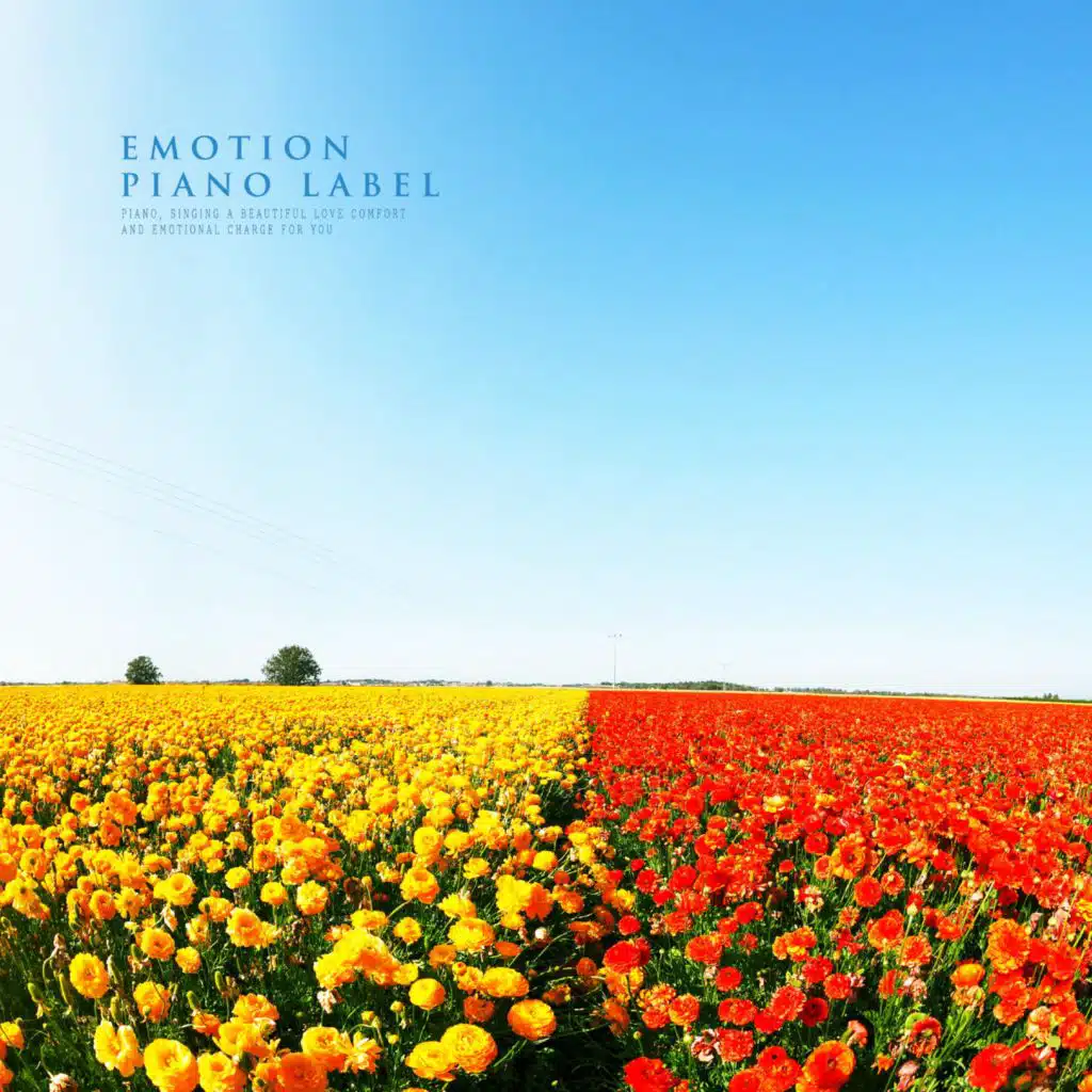 A Cozy And Peaceful Piano That Releases An Irritated Mind