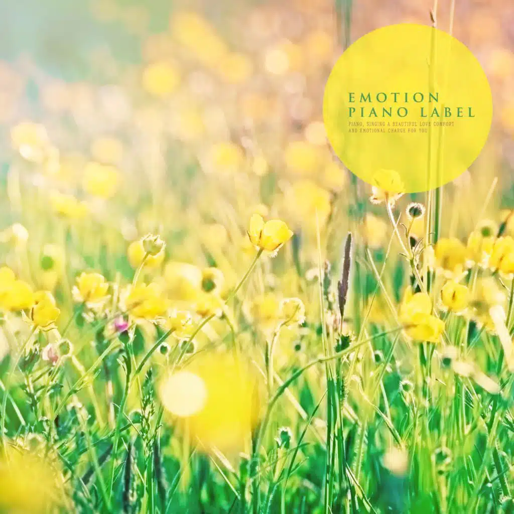 A Collection Of Sleeping Music With A Warm Melody (Sleeping Piano)