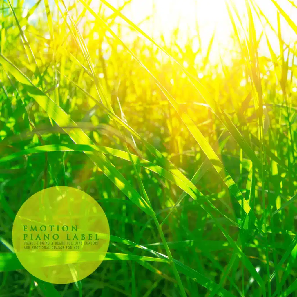 New Age Piano Collection With Sunny Morning