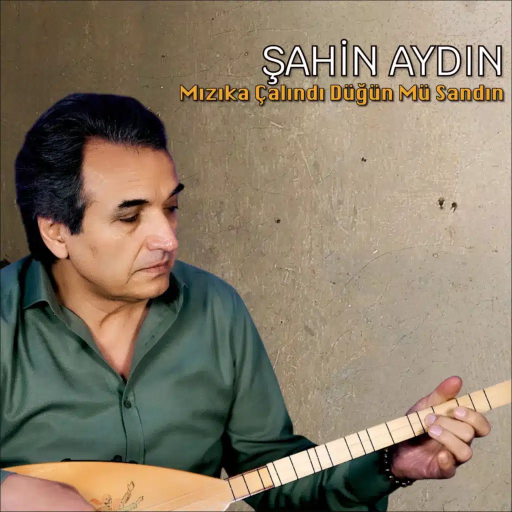 Şahin Aydın