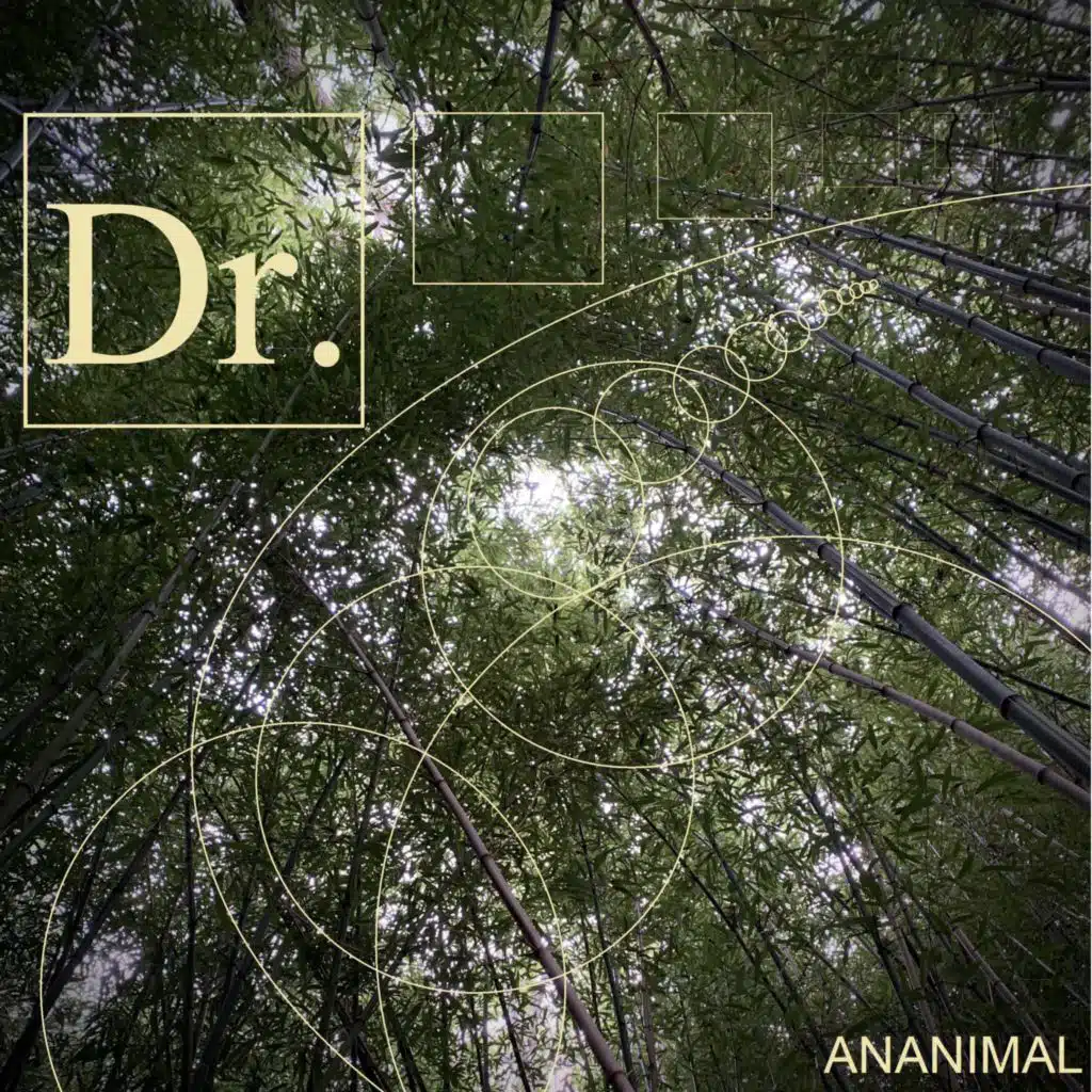 DR.