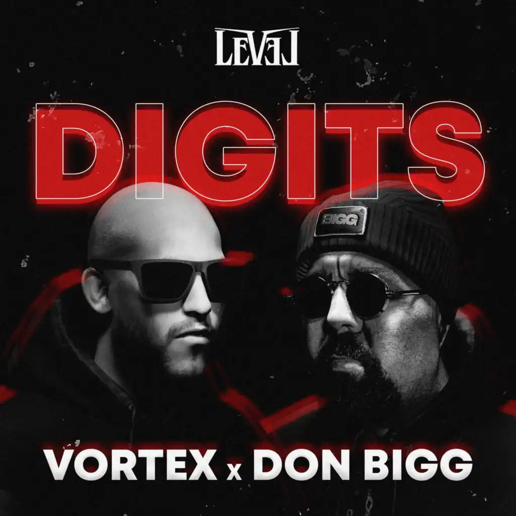 DIGITS (feat. Don Bigg & Big Moe)