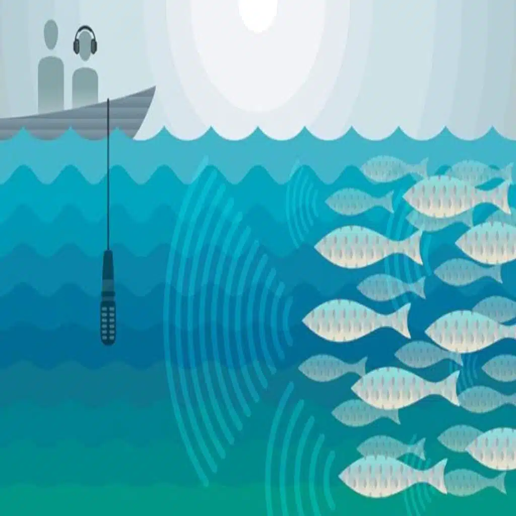 This Fish Emits Damaging Decibels