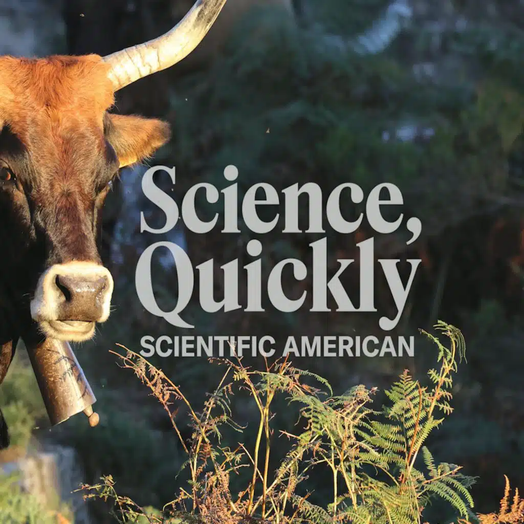 How Is This Ancient Cattle Breed Fighting Wildfires in Portugal?