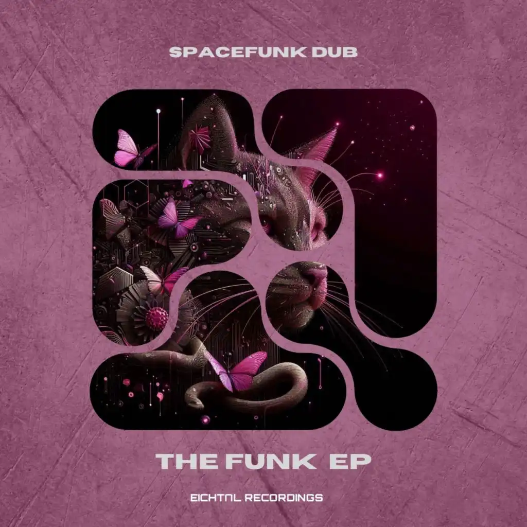 Spacefunk Dub