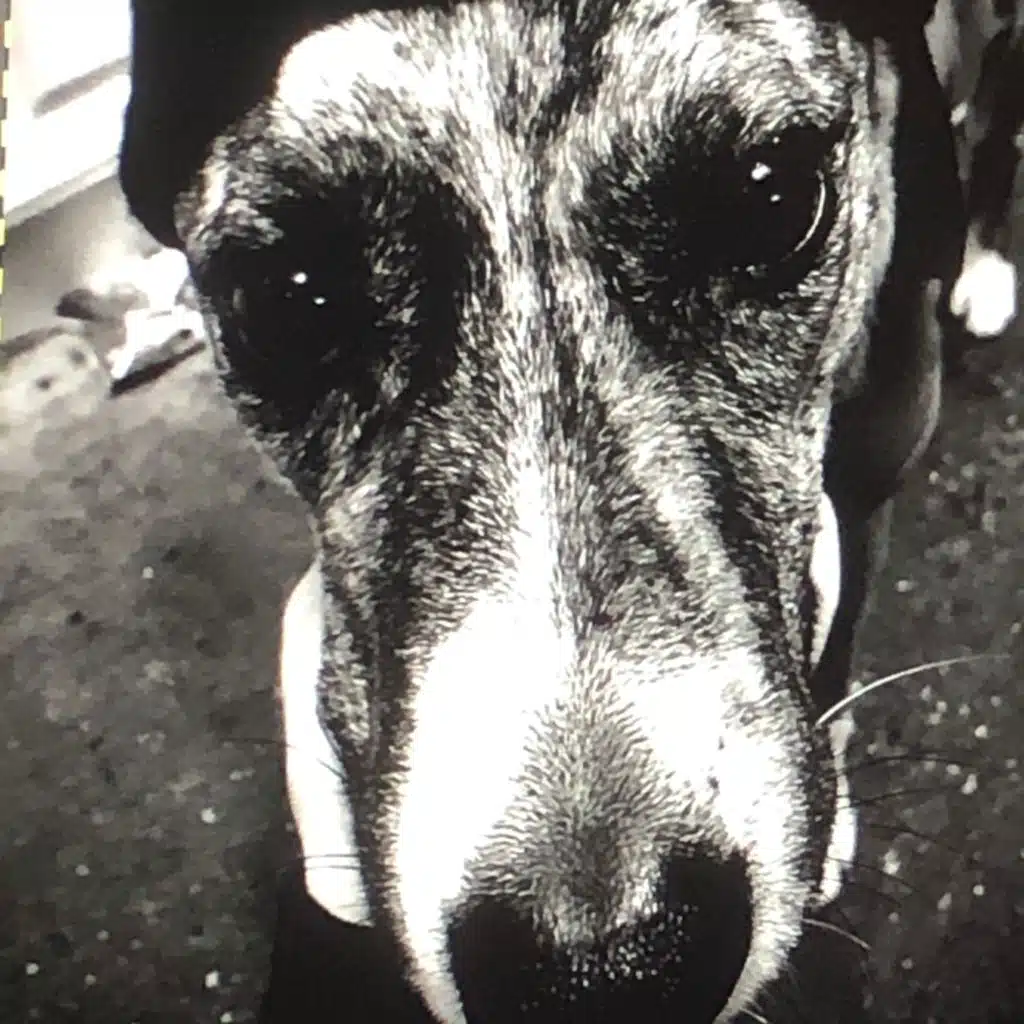 Damaged (feat. Debbie Deitering)