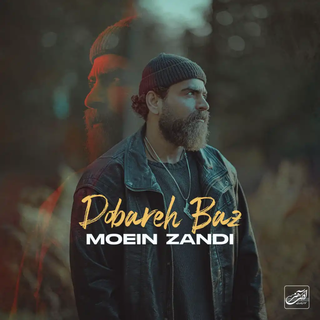 Moein Z