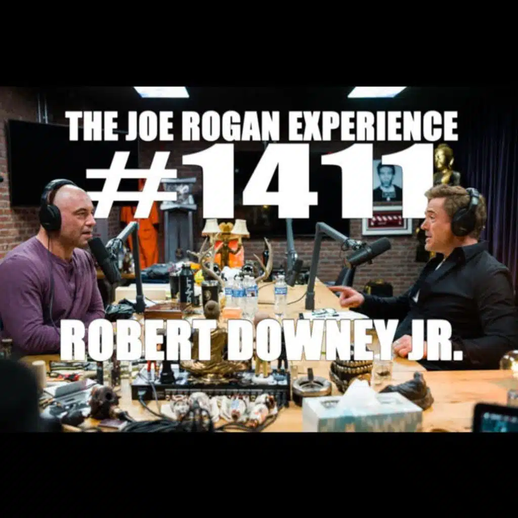 #1411 - Robert Downey Jr.