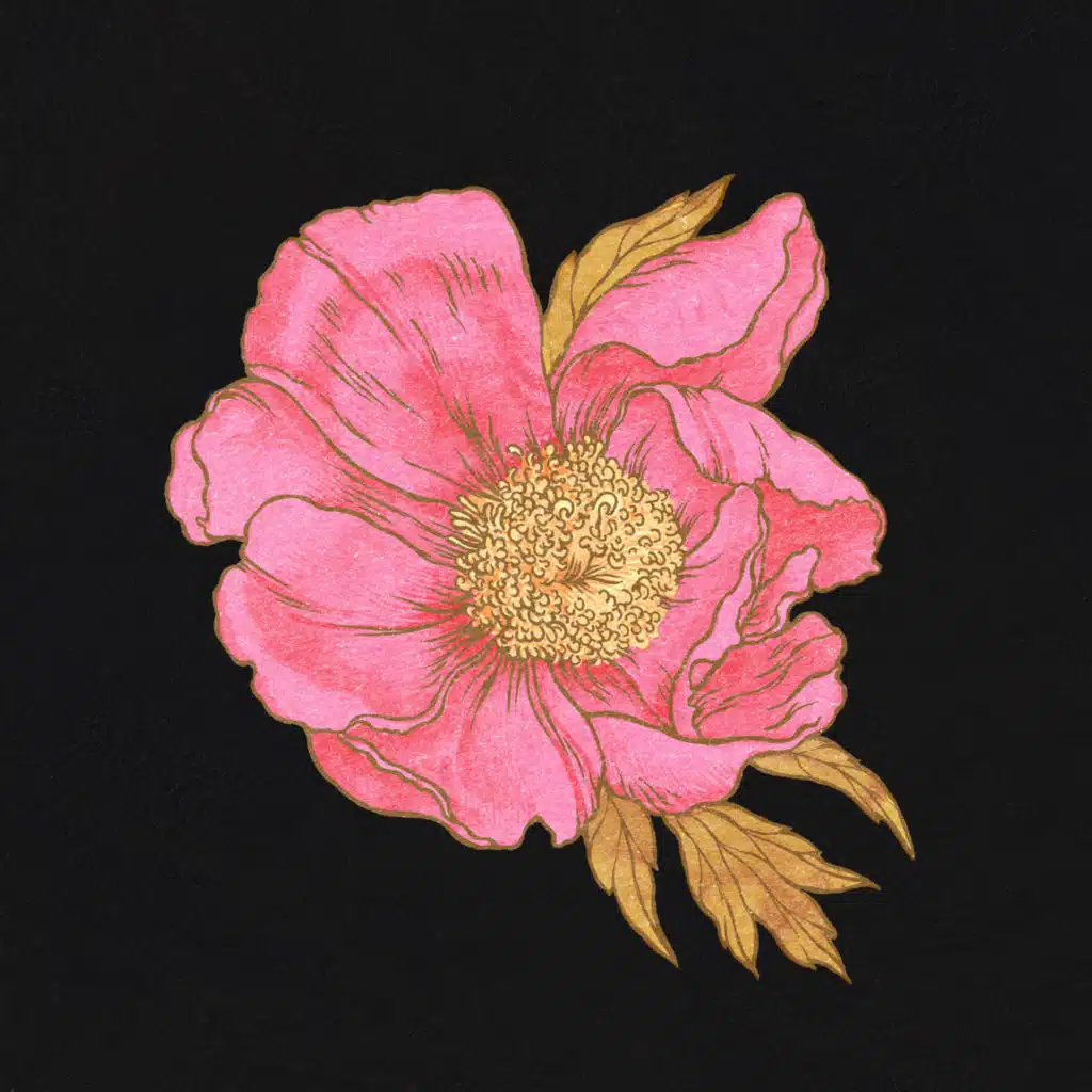 Yeroushalayim Shel Zahav (live) [feat. Thomas Semence]