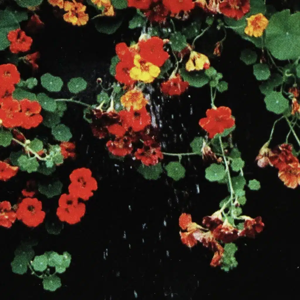 Floral