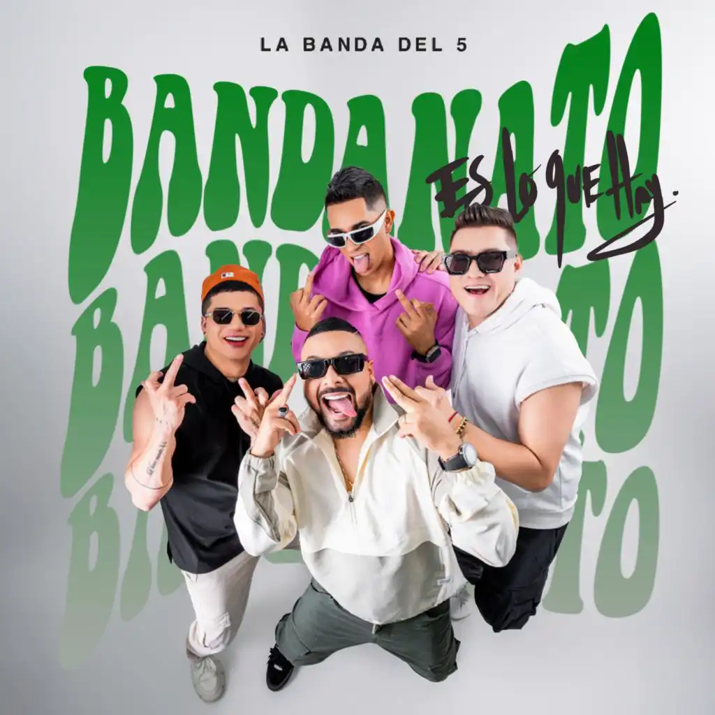 La Banda Del 5