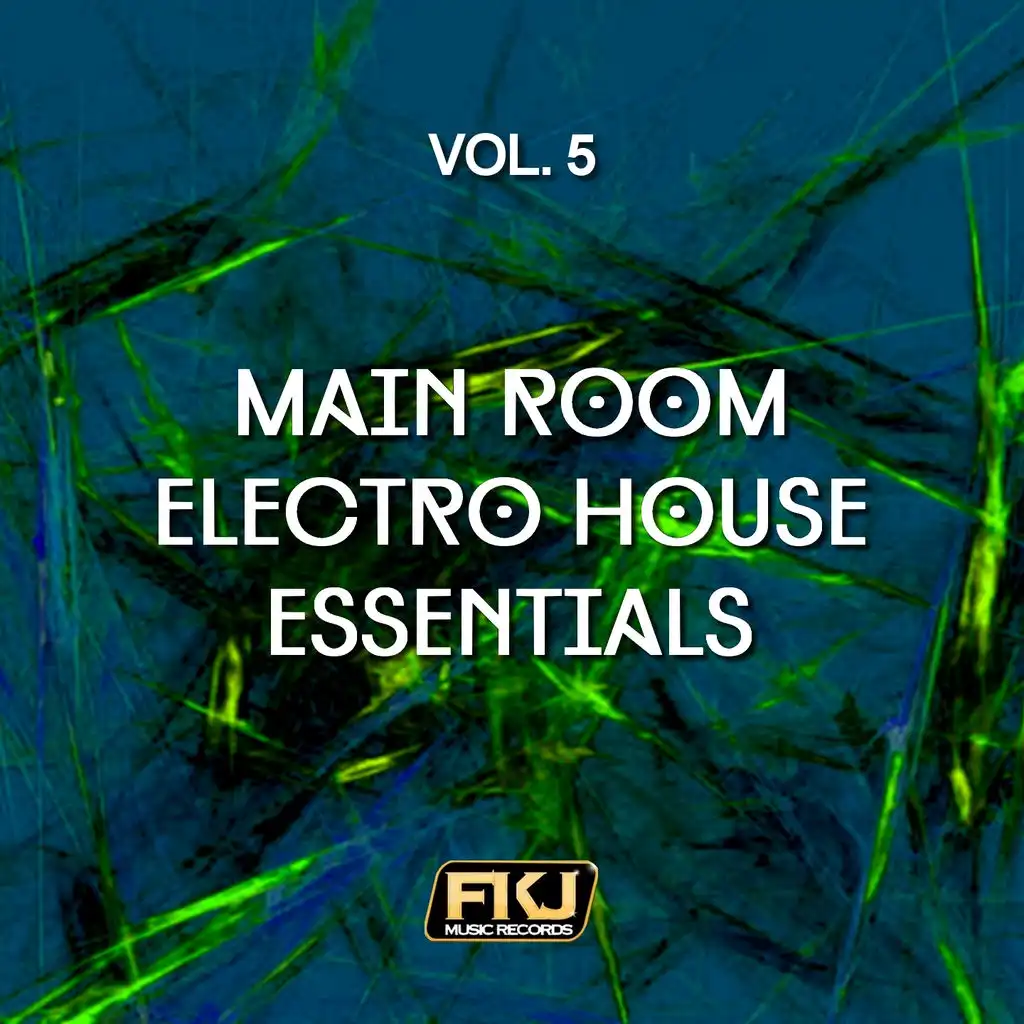 Main Room Electro House Essentials, Vol. 5