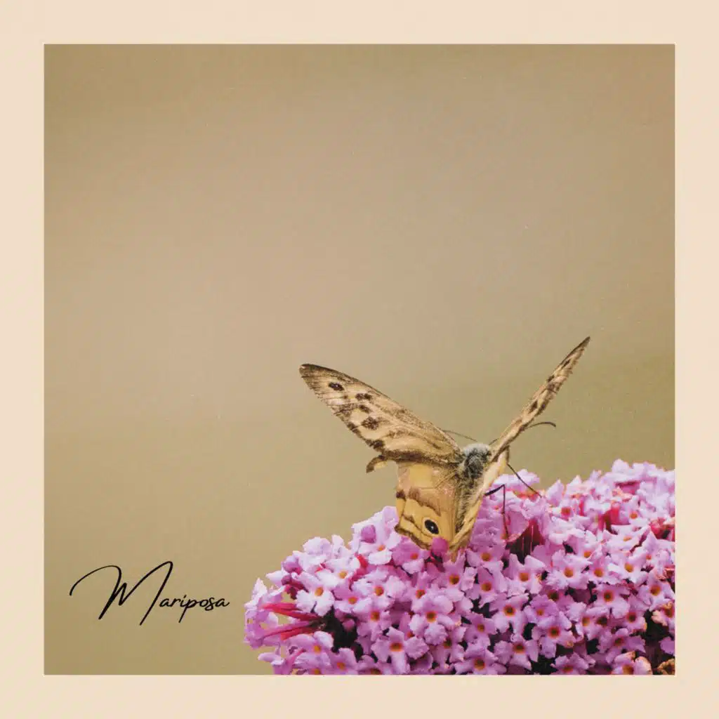 Mariposa