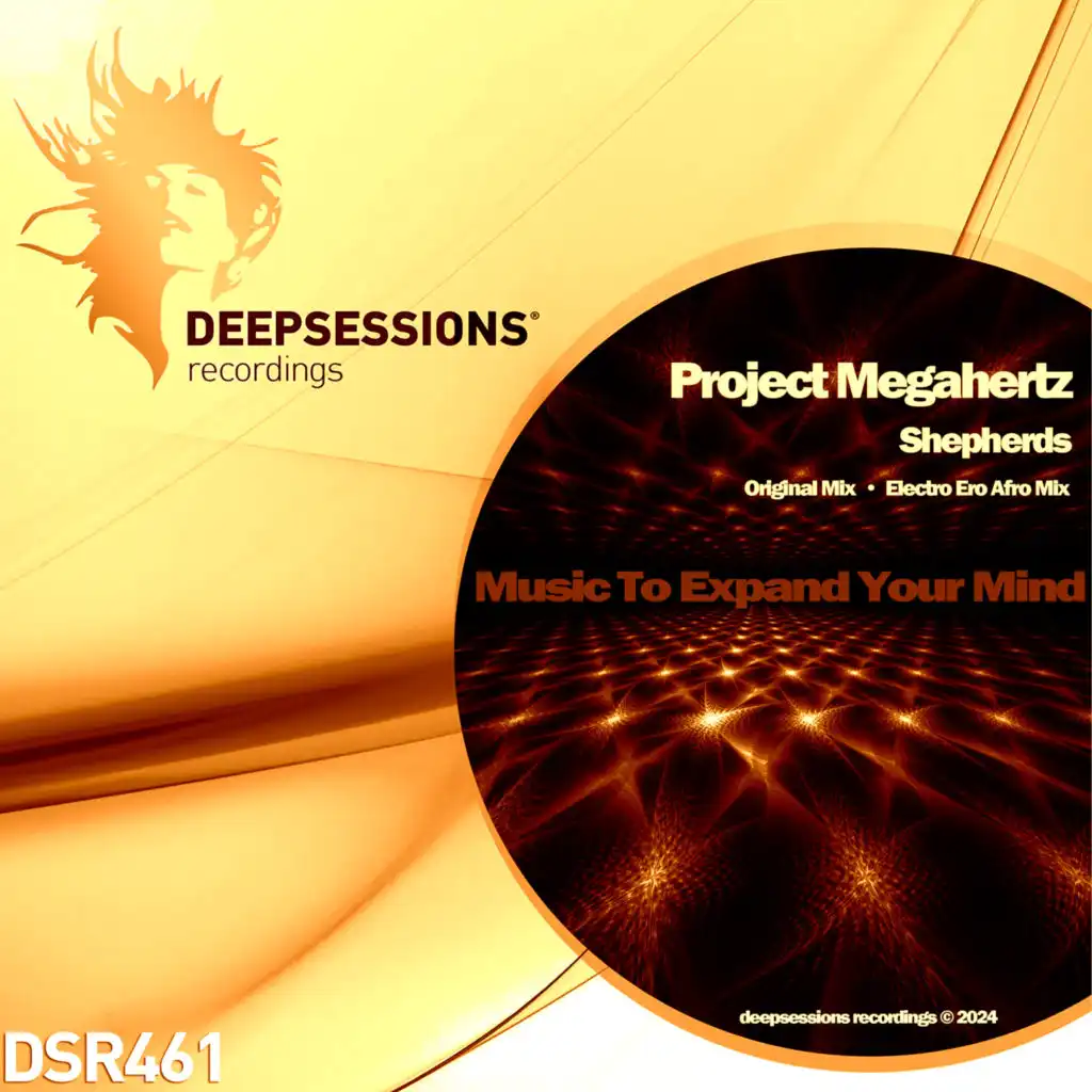 Project Megahertz