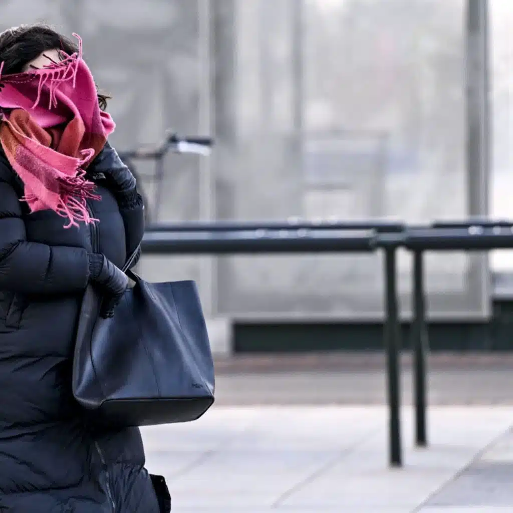 Unemployment funds criticised, fewer work permits after new salary requirements, uterine cancer review, stormy weather&nbsp;across Sweden