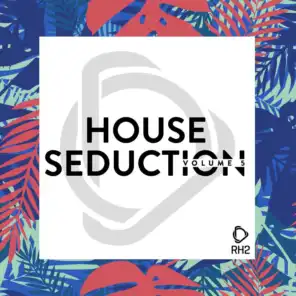 House Seduction, Vol. 5