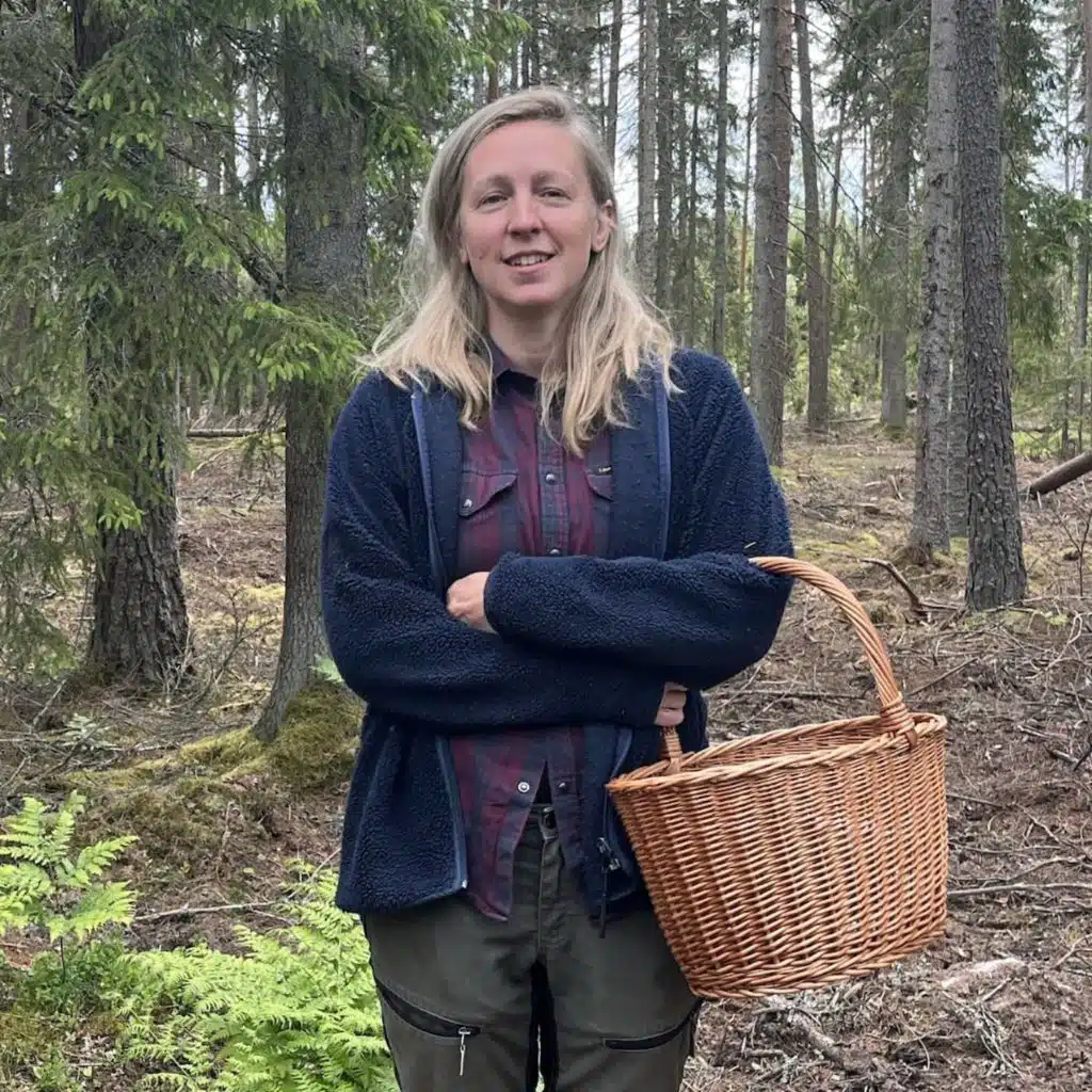 Allt fler skogsägare vill slopa hyggesbruket