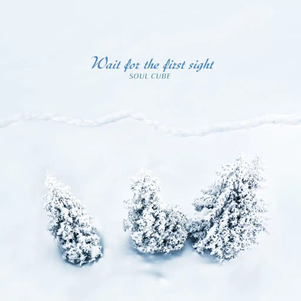 Wait For The First Sight