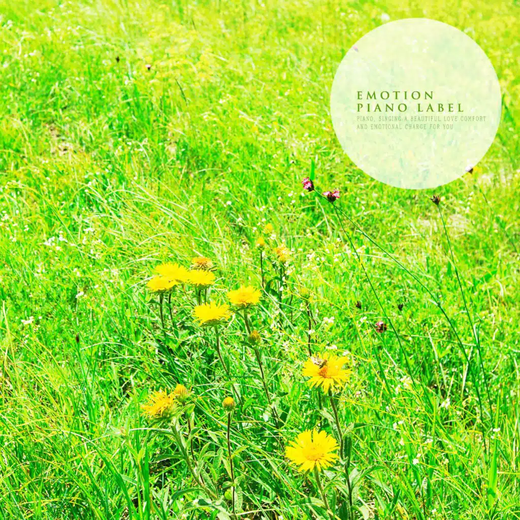 Beautiful Mars Piano To Listen To During A Minute Of Meditation Before Sleeping