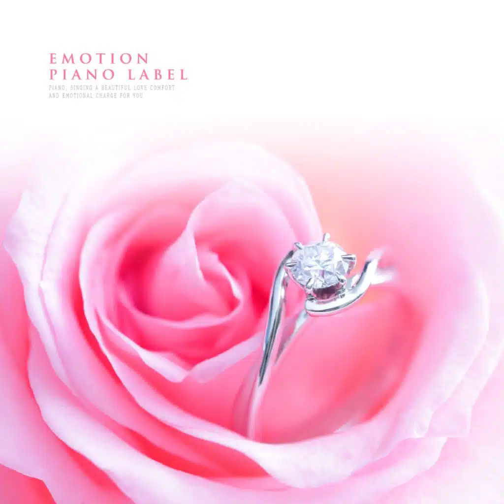 Dried Flower Petals To You