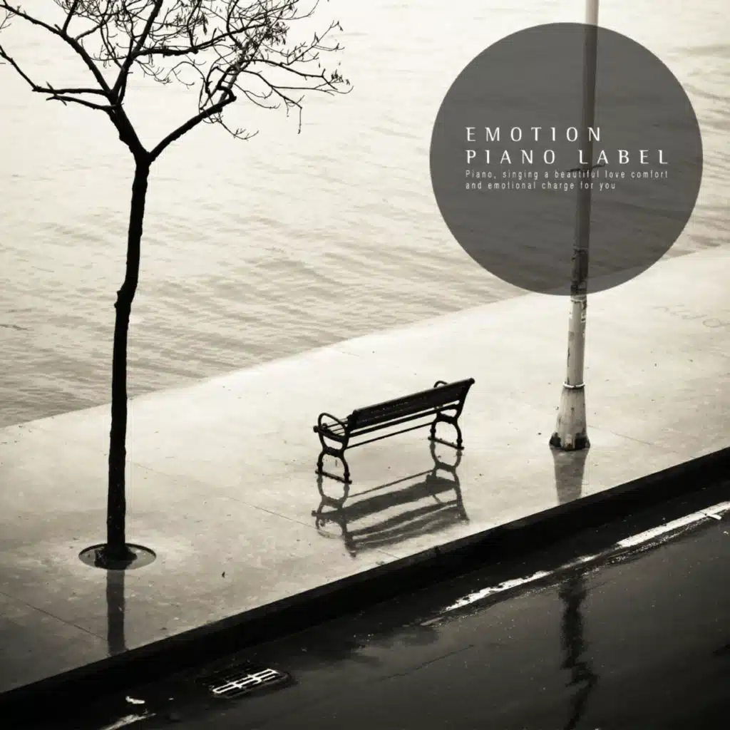 아름다운 빗소리와 그 소리에 흐르는 내 눈물 (Nature Ver.)