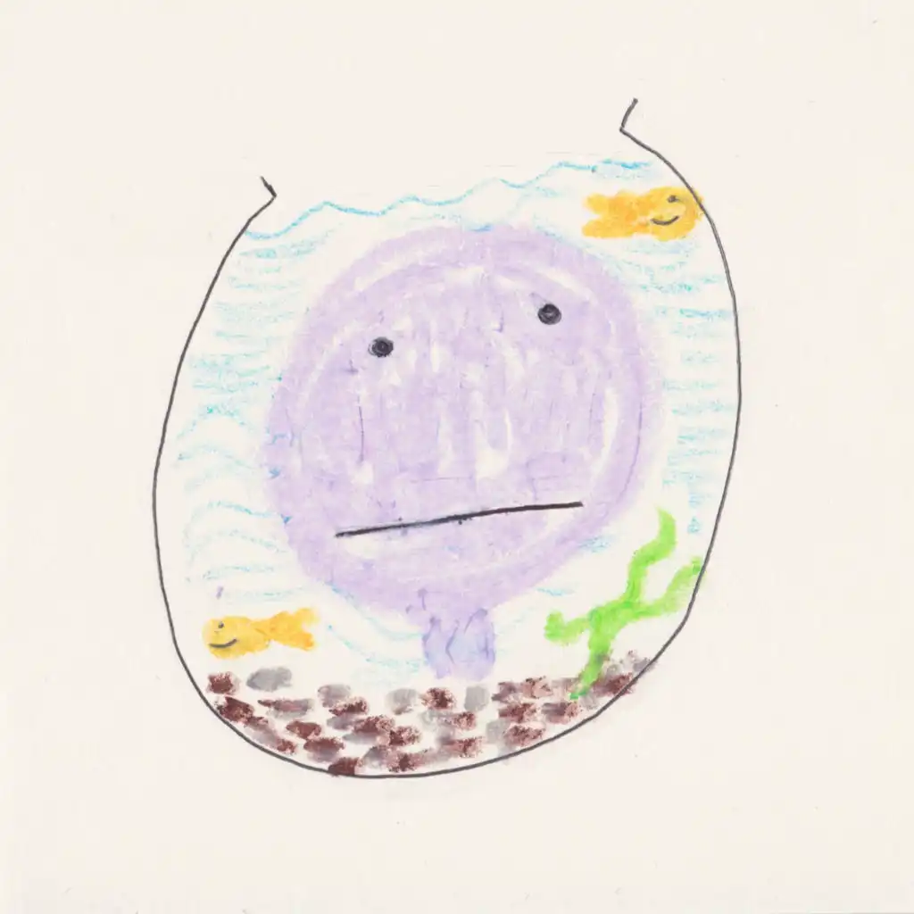 Video Killed The Radio Star (Journal Version)