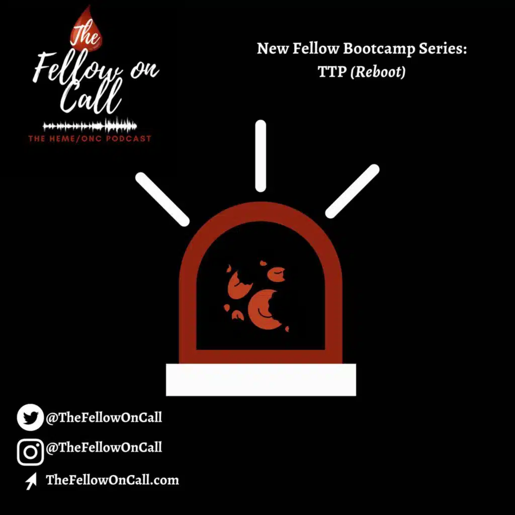New Fellow Bootcamp Series: TTP