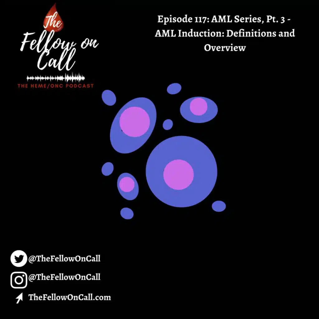 Episode 117: AML Series, Pt. 3 - AML Induction: Definitions and Overview