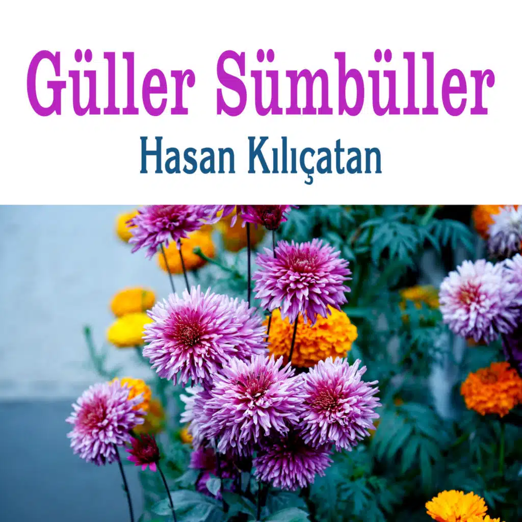 Hasan Kılıçatan