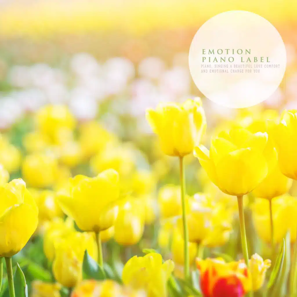 The Heart Warm Martian Piano