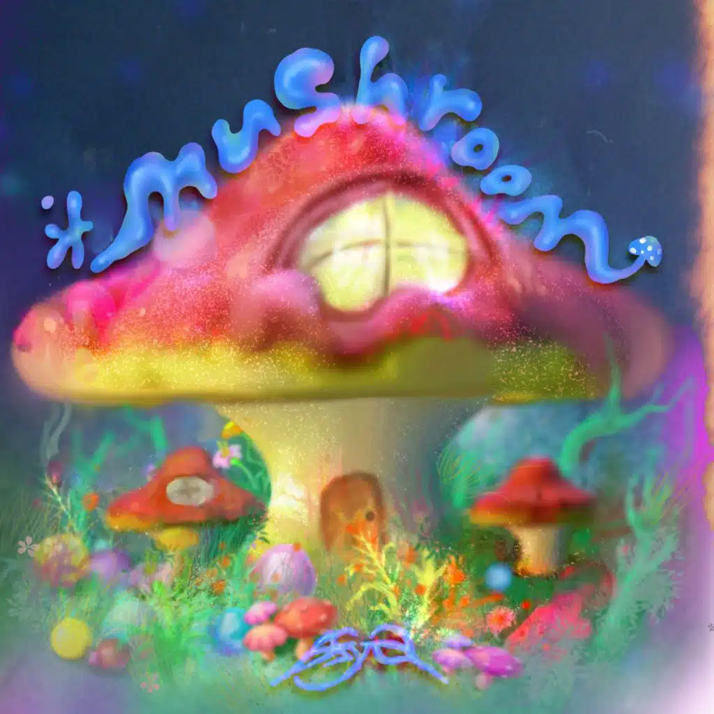 Outro: Mushroom Castle