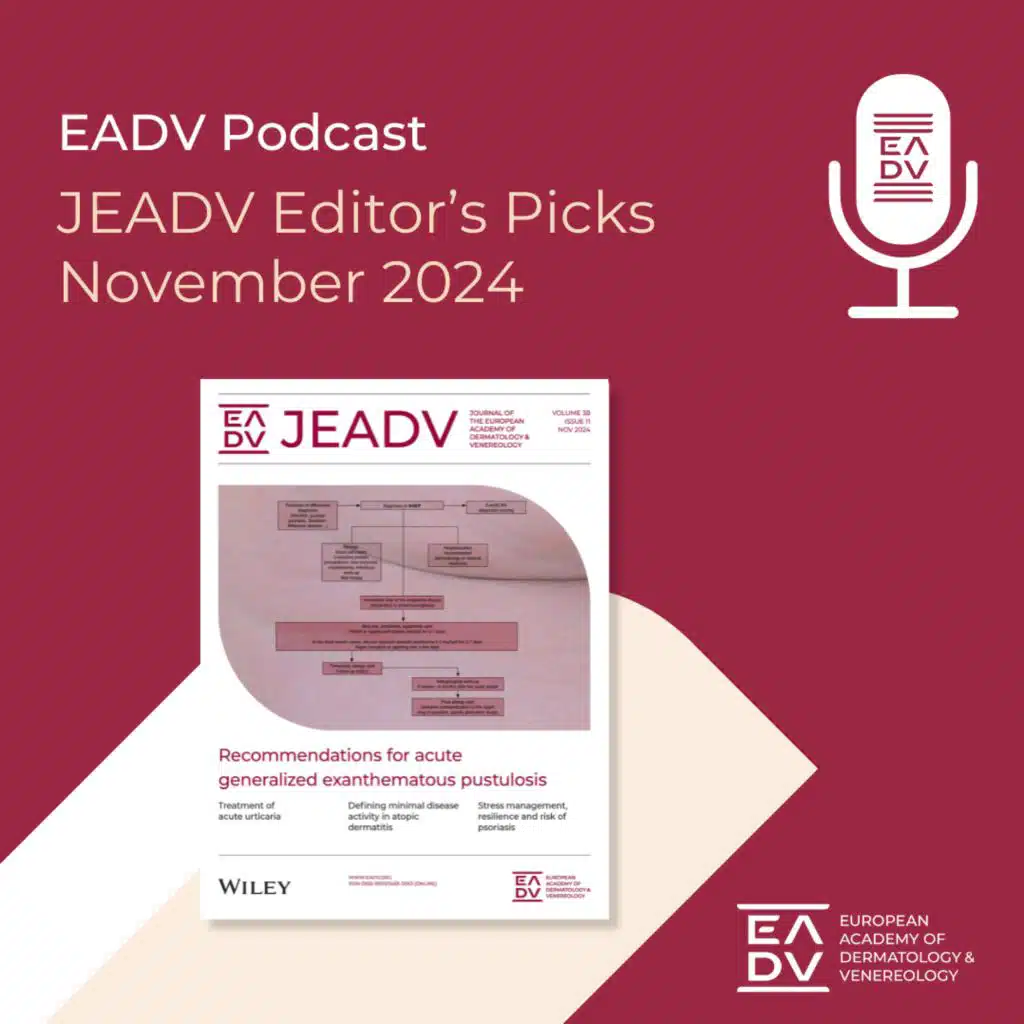 E125: Editor’s Picks November 2024