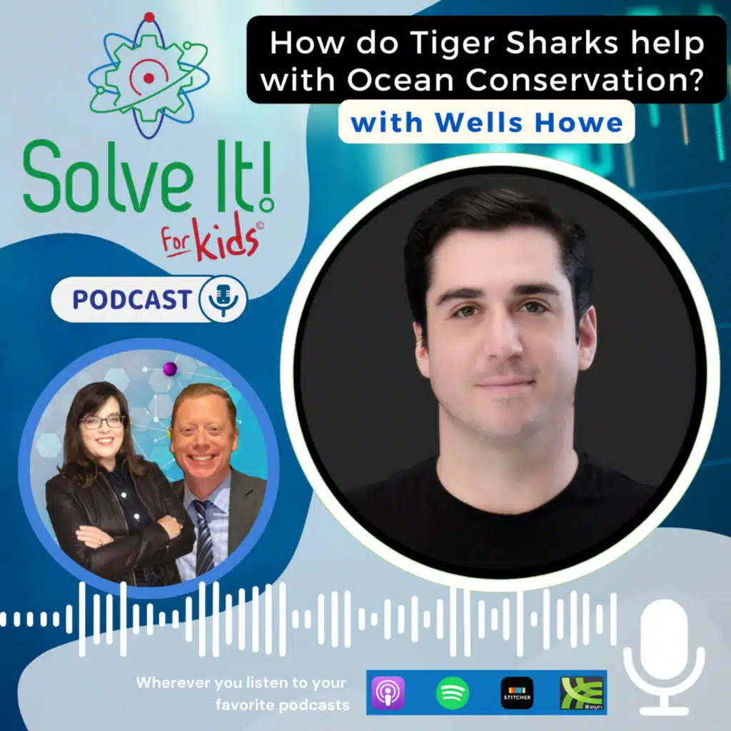 How Do Tiger Sharks Help the Ocean Ecosystem?