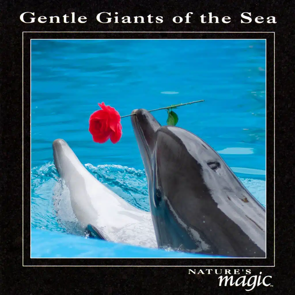 Gentle Giants of the Sea