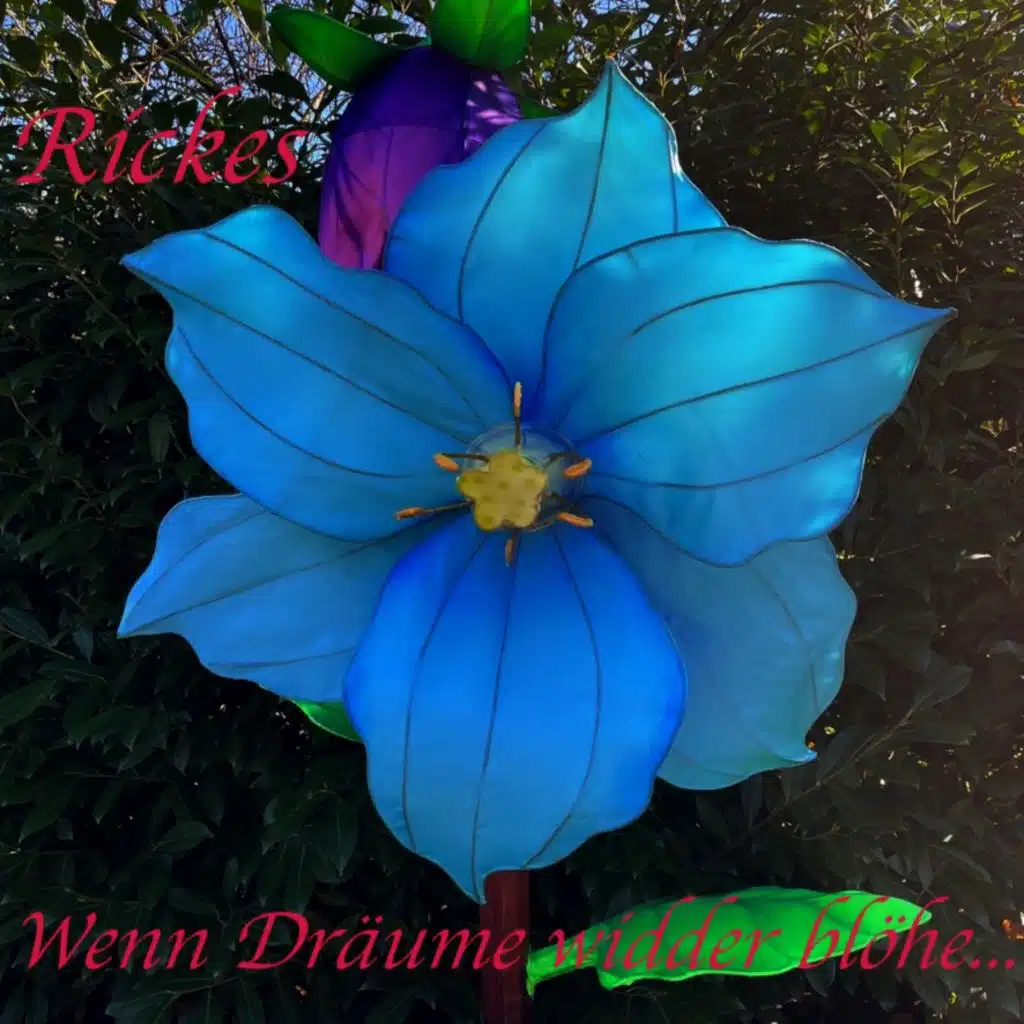 Rickes