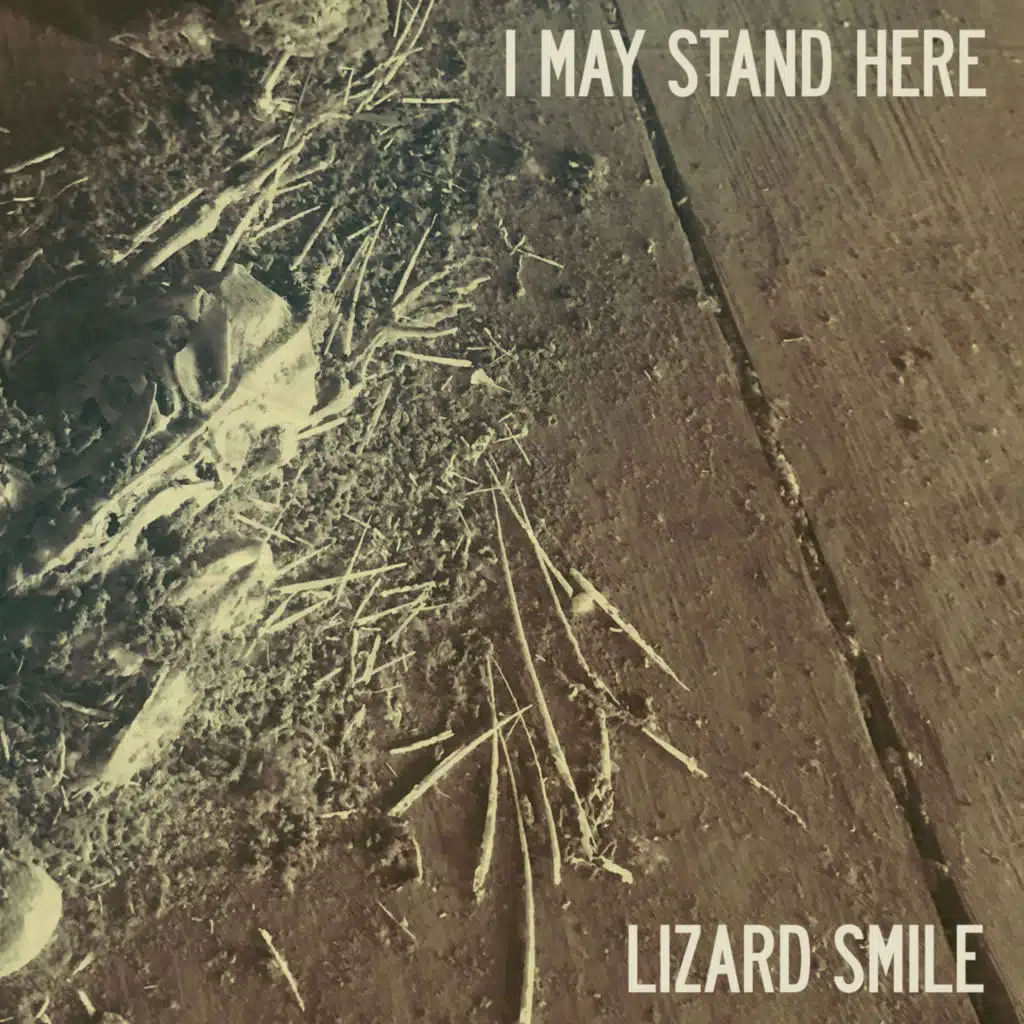 Lizard Smile