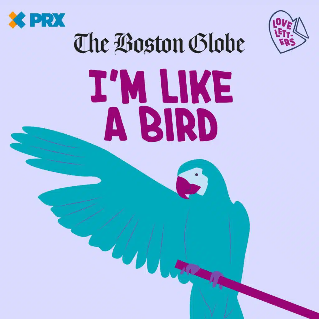 S9E9: I'm Like a Bird