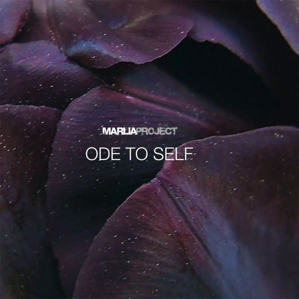ODE to Self