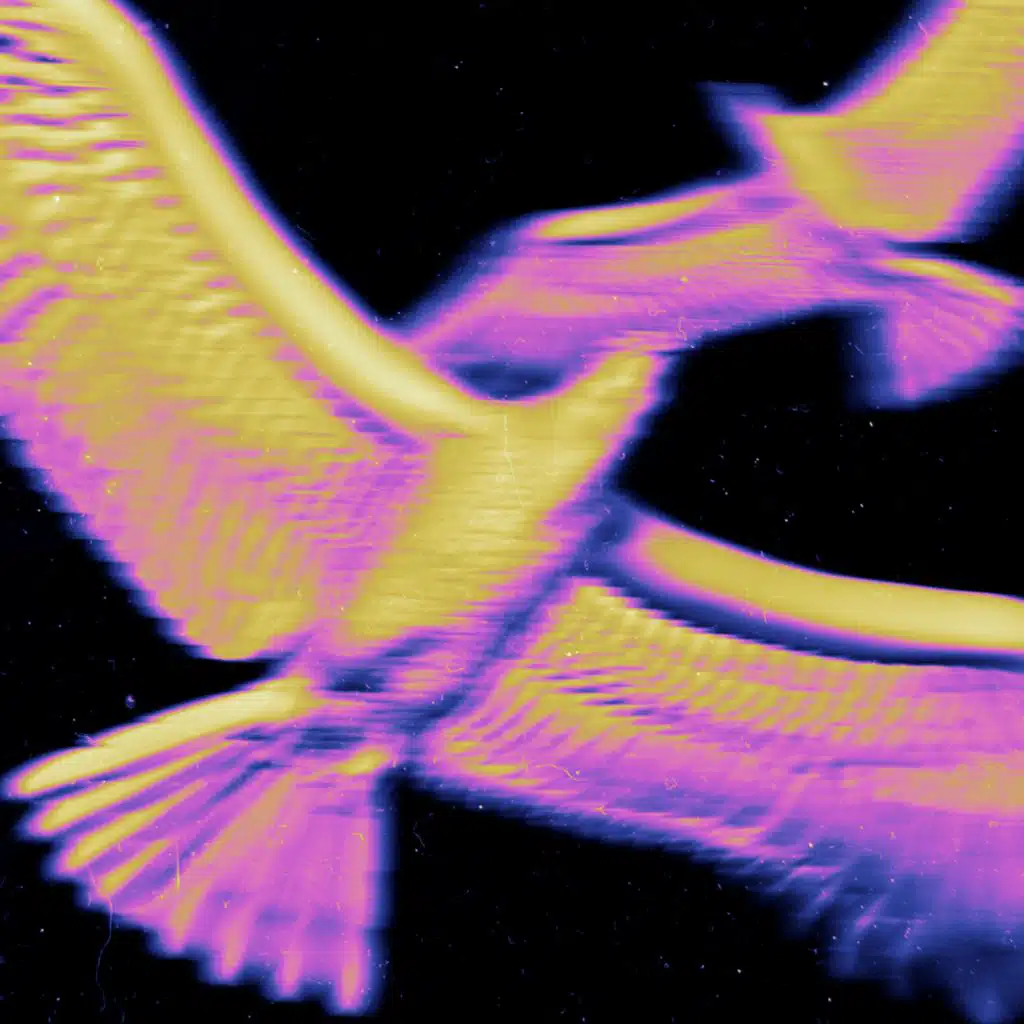 Marc Tinez & Groove 2070