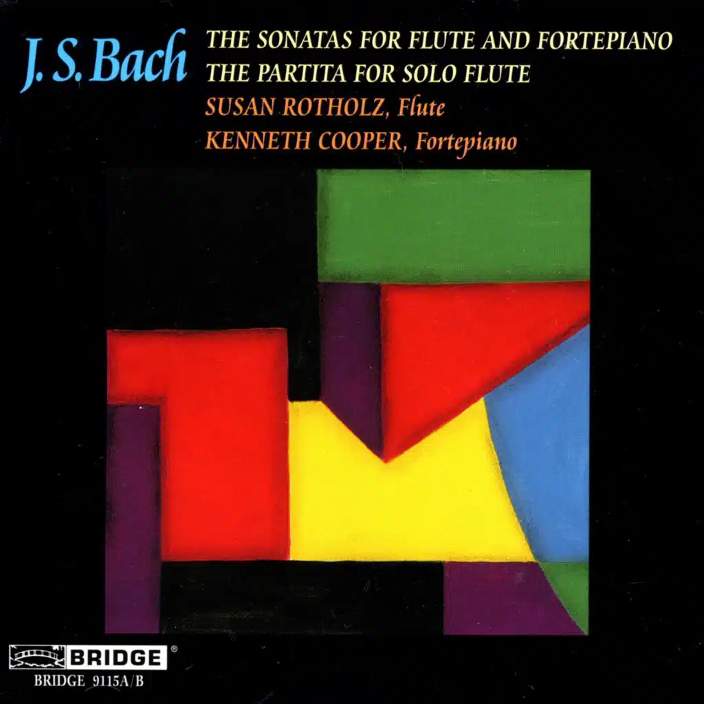 Violin Sonata in G Minor, H. 542.5 (Attrib. J.S. Bach) [Arr. for Flute & Piano]: III. Allegro